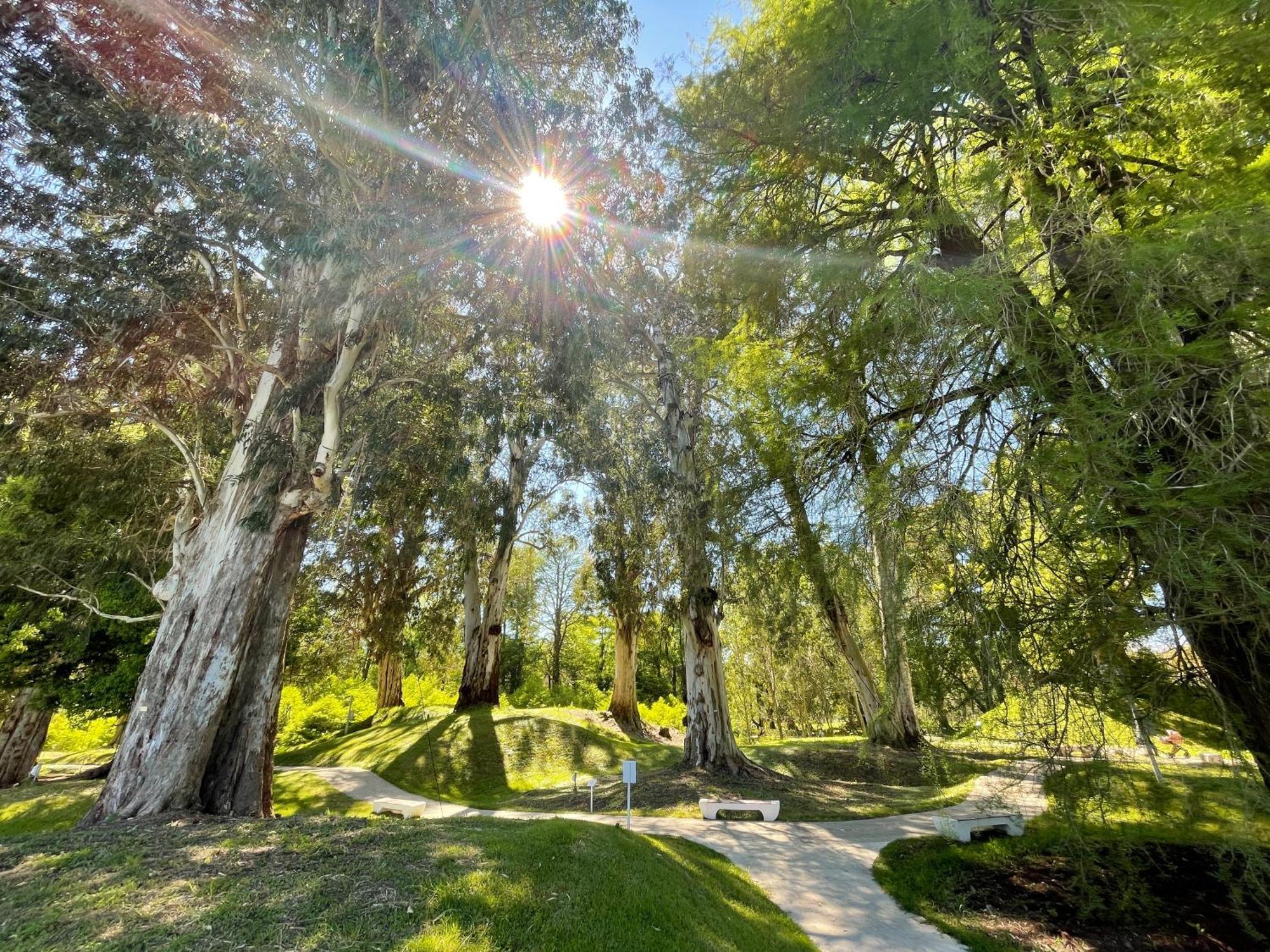 Villa Story Hotel Shekhvetili Esterno foto
